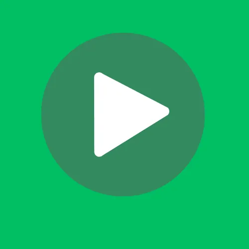 Is Zoechip Safe? Everything You Need to Know